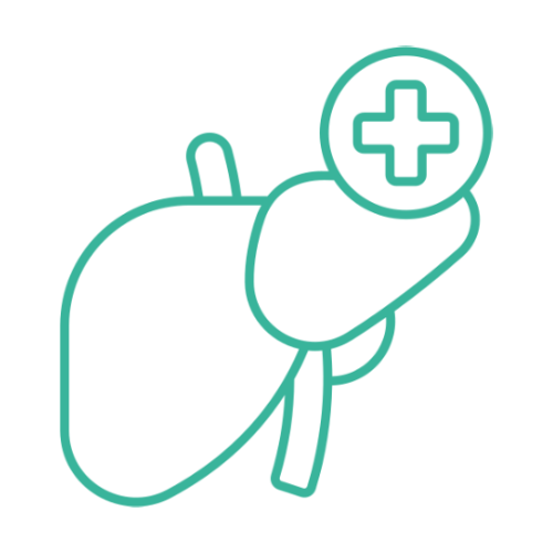 liver
